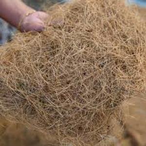 Fibra de coco de calidad de exportación fibra de coco procesada limpia fuerte perfecta para compradores mayoristas e industriales globales - Product Image 1