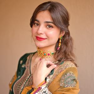 AJM Trade House 1012's Nice Designer Ethnic Pakistanais Costumes pour femmes en soie pour les fêtes - Product Image 5