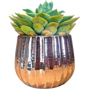 Vase à fleurs en métal couleur or au design classique Décor de maison luxueux pour de superbes arrangements floraux - Product Image 3