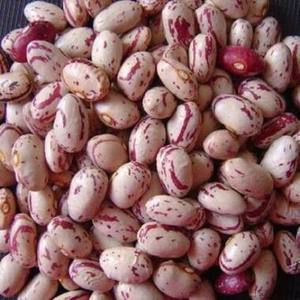 High Quality Premium Export Quality Organic Red Kidney <b>Beans</b> Dried High-protein 100% Natural Bulk Packed Food Grade For Sale - Product Image 6