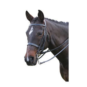 Brida plana Oxford Weymouth de estilo tradicional con espectáculo Cavesson para anillo de espectáculo de caballos - Product Image 1