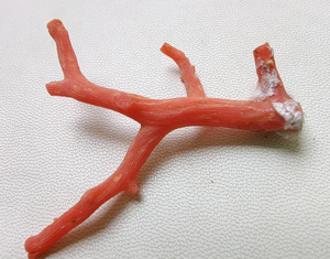 ¡Coral! Piedra preciosa de Coral italiano natural 100%, palitos de Coral rojo, calidad AAA Coral no pulido en bruto, piedra preciosa de palos de Coral marino - Product Image 6