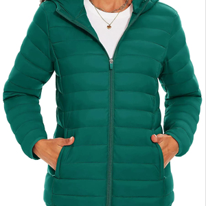 Nouveau imperméable vers le bas coton rembourré veste à capuche courte femmes vêtements d'hiver Style coréen bouffant veste manteau vêtements d'extérieur femme - Product Image 1