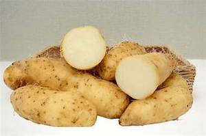 Igname PURE CONGELÉE PROVENANT DE FERMES NATURELLES/INGRÉDIENT D'ALIMENTATION COMPLÈTE/TRANSFORMATION MINIMALE/CONVIENT AUX RÉGIMES VÉGAN - Product Image 6