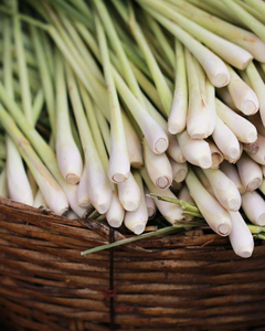 Tiges de citronnelle de qualité supérieure pour le marché international / Qualité naturelle pour l'exportation - Product Image 3