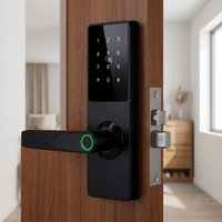 Serrure de porte intelligente biométrique à empreintes digitales, serrure de porte numérique sans clé, poignée électronique intelligente à empreintes digitales