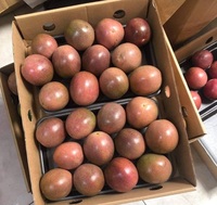 Op Maat Gemaakte Gevriesdroogde Passievrucht In Vietnam 100% Vers Bevroren Passievruchtenpuree Verse Smaak Zuur En Zoet/Anna Do