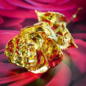 กุหลาบจริงลุคมาตรฐานดีที่สุดสําหรับการออกแบบของขวัญวันแม่และวันวาเลนไทน์ การออกแบบกุหลาบธรรมชาติทองคํา 24 กะรัต - Product Image 6