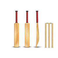 Bâton de cricket en bois massif de qualité supérieure, écologique, durable, léger, épaisseur 50 mm, logo personnalisé, jeu en plein air