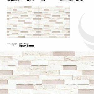 Azulejos de Porcelana para Paredes Exteriores de 300x600 mm, Fachada Exterior - Product Image 1