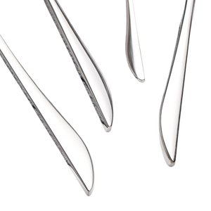 ชุดช้อนส้อมซิลเวอร์ซีรีส์ 12 ชิ้น สำหรับ 4 คน - Product Image 5