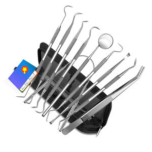 Ensemble de 10 outils de nettoyage de dents en acier inoxydable allemand de haute qualité Kit d'outils de diagnostic dentaire industriel bricolage personnalisable OEM - Product Image 4