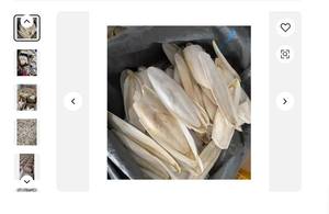 Os de seiche lavé et séché, os de seiche frais - Product Image 5