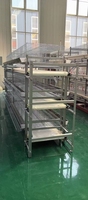 Grillage galvanisé robuste pour cages à poulets, équipement avicole pour l'élevage industriel de poules pondeuses