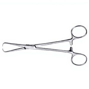 Pinzas para toallas Bernhard al por mayor, herramienta médica, suministros hospitalarios - Product Image 5