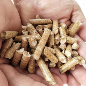 Fourniture de granulés de bois de qualité supérieure - Product Image 3