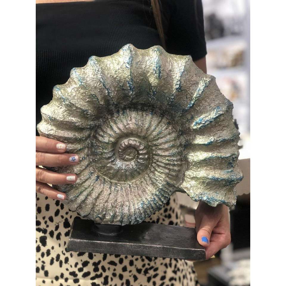 MeGg Ammonite Fossil Decor