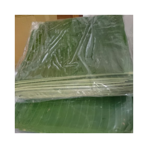 Venta al por mayor de hojas de plátano congeladas de Vietnam Limpiar frescas y congeladas a menos 18 grados para uso en la industria alimentaria internacional - Product Image 1