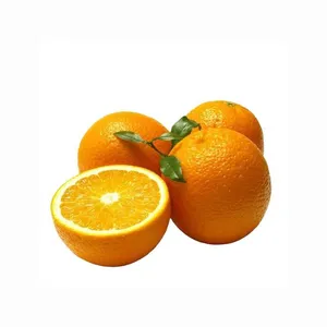 Natural High Quality Sweet Fresh Citrus Orange with Low Price Fresh Orange with good Fresh Valencia Orange