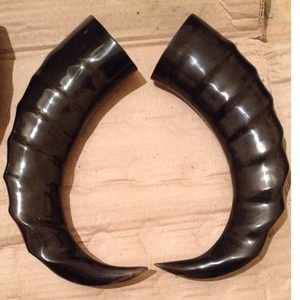 Peine de Cuerno de Búfalo Hecho a Mano en el Extranjero y Juguete Masticable Natural para Mascotas, Regalo Boutique para Hombres y Mujeres - Product Image 5