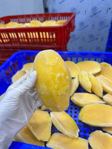Purée de mangue surgelée en tranches, MOQ faible, meilleur prix, transformée au Vietnam, approvisionnement en vrac - Mme Tarina - Product Image 5