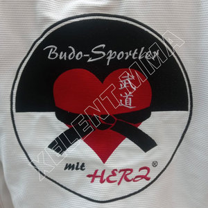 Venta al por mayor venume BJJ niños Jiu-Jitsu uniforme personalizar artes marciales y ropa de artes marciales 2025 - Product Image 2