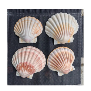 แผ่นจานประดับงานแต่งงานแบบทำมือสำหรับร้านอาหารแนวชนบทและของขวัญสำหรับงานแต่งแบบทำมือ - Product Image 5