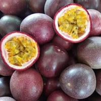 [Hot Deal] Hoge Kwaliteit Premium Grade Passievrucht Vietnam Natuurlijke Donkerpaarse Schil 15%-20% Brix 10kg/15kg Karton Competitief