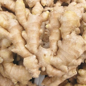 Prix du gingembre frais à l'exportation par tonne, nouvelle récolte de gingembre frais, acheteurs de gingembre séché - Product Image 1