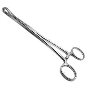 Foerster 10\" Manual Veterinary Surgical Holding Instruments High Performance Straight Serrated Stainless Steel <b>Sponge</b> Forceps - Product Image 2
