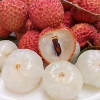 Vers Tropisch Fruit Lychee Verse Bestseller Van Vietnam Fruit Zoete En Sappige Lychee Laatste Seizoen Concurrerende Prijs