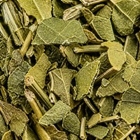 Feuilles de mûrier de qualité supérieure pour l'exportation, pour des thés et des boissons sains à base de plantes, vente en gros