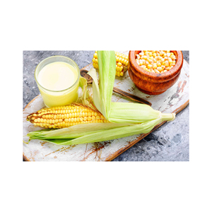 Fournisseur en gros de stock frais en vrac de grans de maïs jaune séché/maïs de maïs - Product Image 2