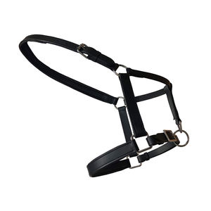 Cabestro personalizado de nailon fuerte para caballos, diseño de caballos, precio barato, uso de cabestro para montar a caballo para entrenamiento - Product Image 1