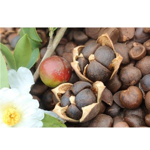 น้ำมันบริสุทธิ์บริสุทธิ์บริสุทธิ์สำหรับบำรุงผิว100% น้ำมันเมล็ดคาเมลเลียโอลีเฟอร่าผลไม้สีเหลืองอ่อนออร์แกนิคจากประเทศเวียดนาม - Product Image 6