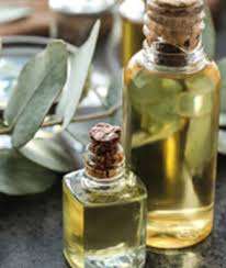 100% huile essentielle d'eucalyptus citrodora pure huile essentielle d'eucalyptus citrodora en vrac en gros huile essentielle d'eucalyptus naturelle et pure - Product Image 3