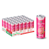 Hot Selling & Low Moq 330Ml Mousserende Nfc Guave Sap Drank-Groothandel Prijs Oem Odm Maatwerk Gratis Monster Beschikbaar