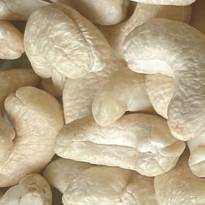Fabrication de Ww240-Cashew-Nut de noix de cajou brutes du Vietnam Noix de cajou entières exportées en gros vers l'Asie, l'UE, le Moyen-Orient - Product Image 1