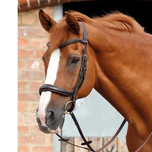 กั้นทางกายวิภาค - Product Image 1