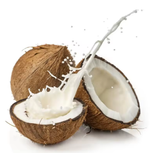 Leche de coco vegana congelada | Producto natural orgánico sin lácteos, Exportación OEM a granel, servicio de etiqueta privada - Product Image 5