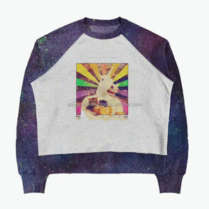 2025 venta al por mayor nueva llegada venta directa de fábrica mujeres sudaderas logotipo personalizado Material sólido mujeres sudaderas transpirables - Product Image 3