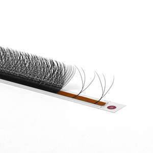 W Lash 6-15mm Longitud W Pestañas 0,05 Pestañas de fibra PBT alemanas Venta al por mayor Etiqueta privada Envío mundial Entrega rápida OEM ODM - Product Image 4