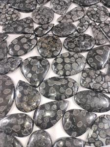 หินปะการังฟอสซิลธรรมชาติสีดำทรงไข่ลูกแพร์หลวมเรียบ Cabochon ส่งตรงจากโรงงานขายส่งร้านค้าออนไลน์ตอนนี้ - Product Image 4