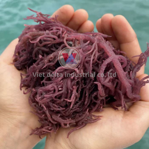 มอสทะเลบริสุทธิ์บริสุทธิ์และไม่ผ่านการกลั่น - Product Image 5