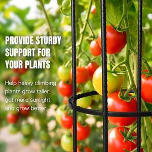 60 cm de haut métal jardin Art treillis fleur Supporter et plante Support Cage piquets pour plantes grimpantes et culture de tomates - Product Image 6