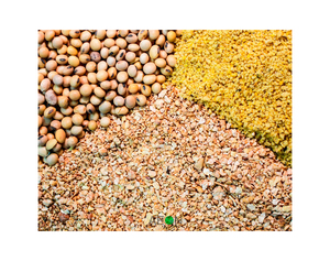 Alimento para aves de corral de alta calidad, carne de animales de pollo, harina de hueso a bajo precio de mercado, alimento para aves de corral de alta calidad 50%, alimento para animales de pollo - Product Image 6