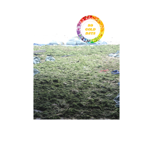 Algues vertes comestibles pour la transformation des aliments et l'alimentation animale avec méthode de séchage sûre et de haute qualité - Product Image 6