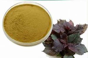 ผงใบเพอริลบริสุทธิ์จากเวียดนามส่วนผสมสมุนไพรธรรมชาติสำหรับการสนับสนุนภูมิคุ้มกันและล้างพิษ - Product Image 6