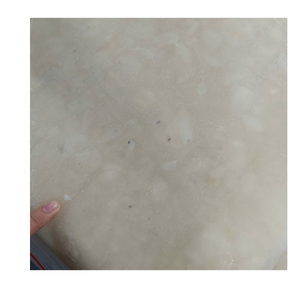 PULPA DE SOURSOP CONGELADA AL POR MAYOR DE FÁBRICA DE VIETNAM MEJOR OFERTA PARA IMPORTADORES ENVÍO RÁPIDO DISPONIBLE - Product Image 5