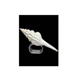 ห่วงรัดผ้าเช็ดปากโลหะสีเงินพร้อมแกนหมุนดีไซน์หรูปรับได้แหวนเงิน - Product Image 1